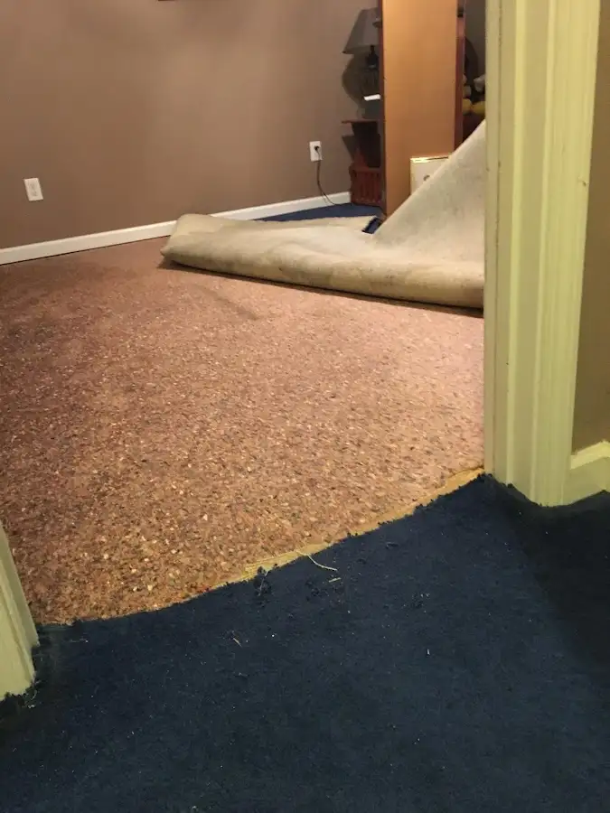 Carpet pad removal revealing water damage during Drying & Dehumidification in Fanwood